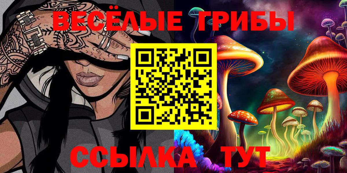 Псилоцибиновые грибы GOLDEN TEACHER  Вход с VPN  цена   Назарово 